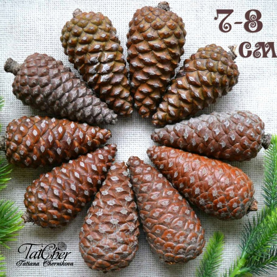 Закрытые шишки