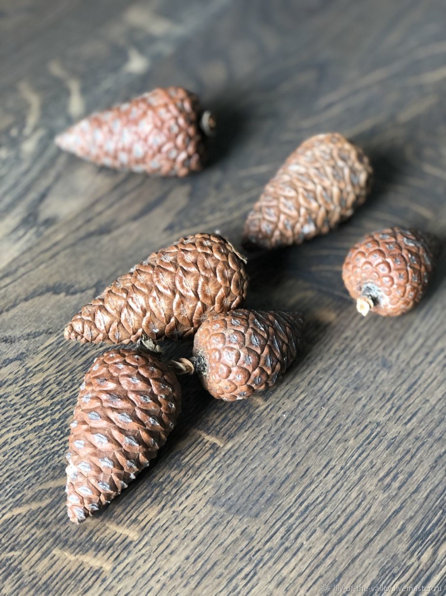 Еловые шишки для декора