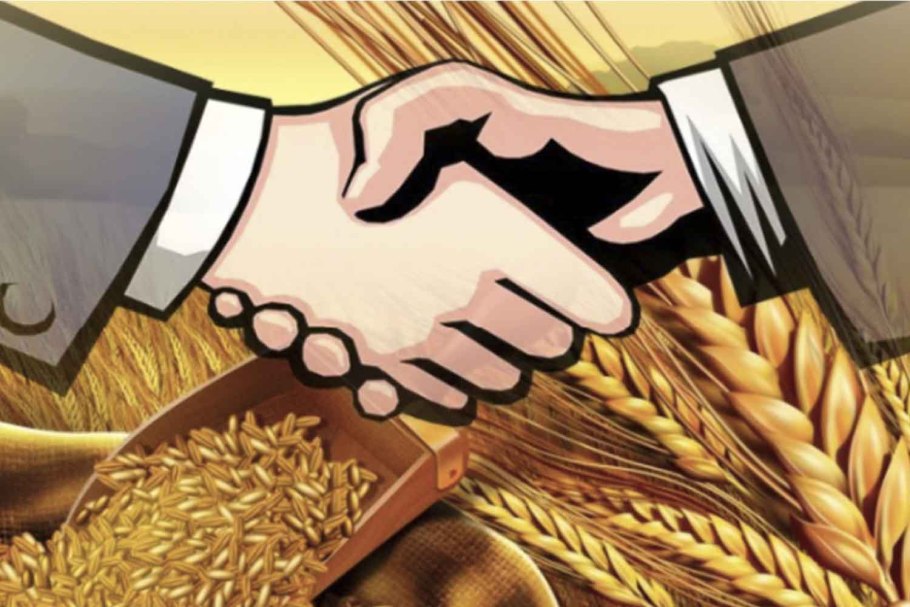 Экспорт зерновых