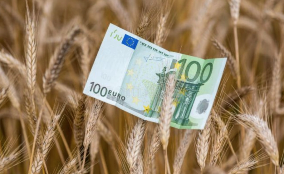 Богатство евро