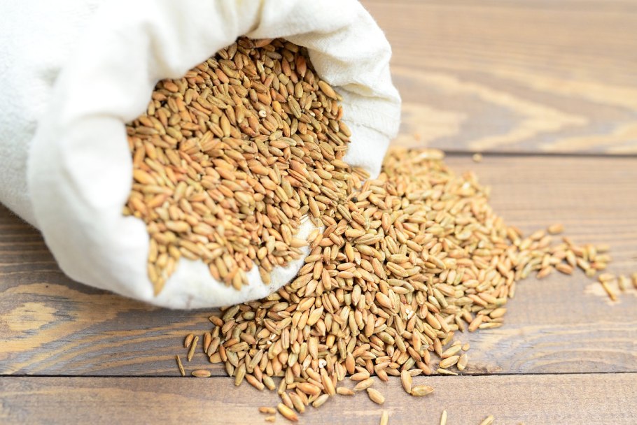 Биржевое зерно