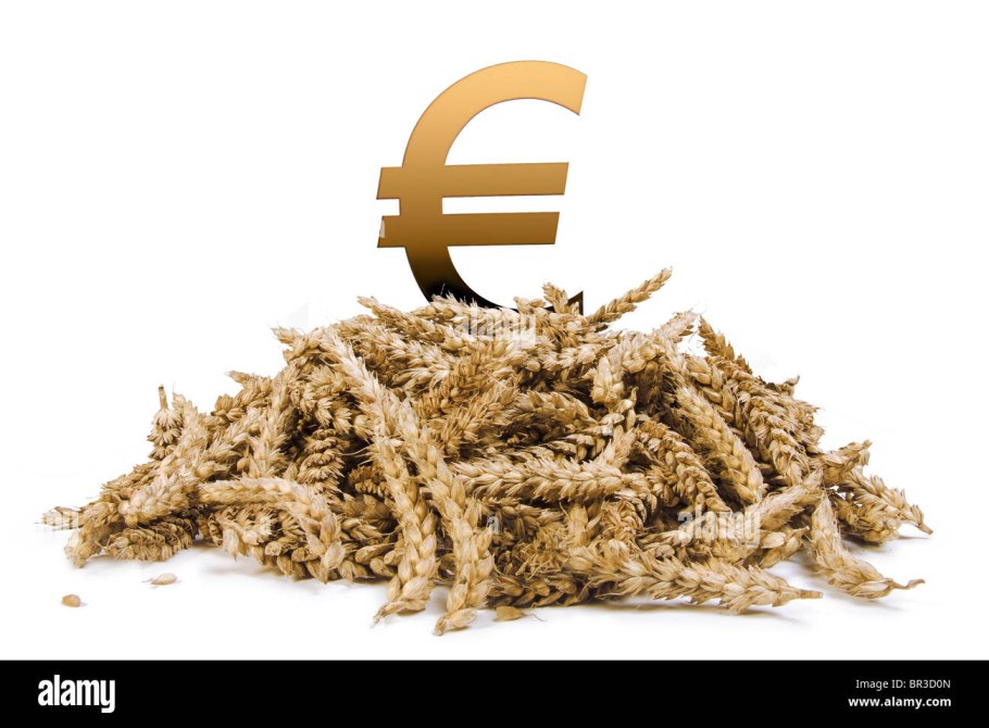 Закупка пшеницы