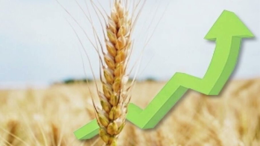 Отгрузка зерна