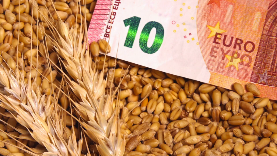 Переработка сельхозпродукции