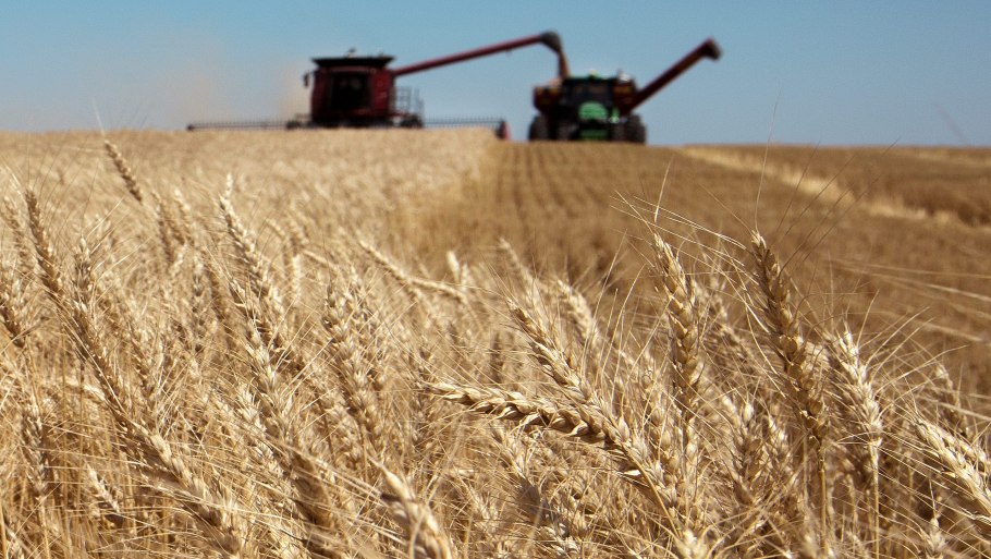 Мировая торговля зерном