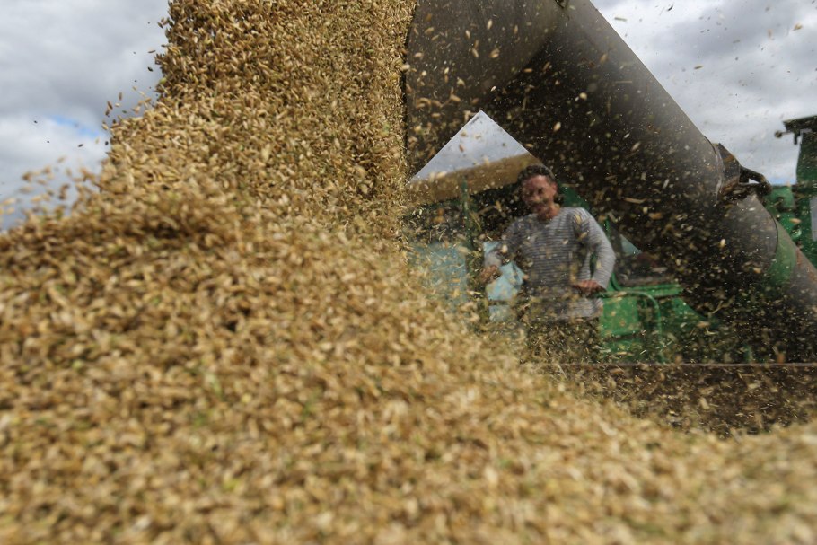 Экспорт сельскохозяйственной продукции