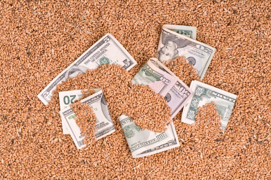 Пшеница и деньги