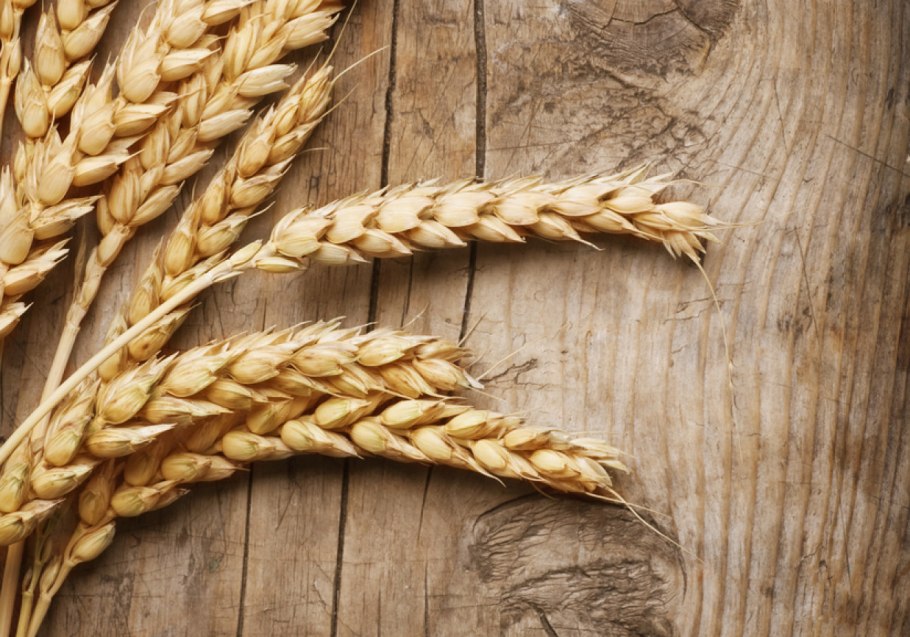 Сельское хозяйство деньги