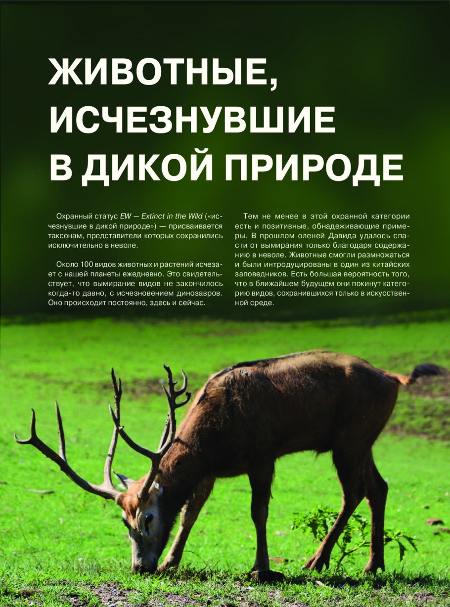 Примула первоцвет весенний красная книга