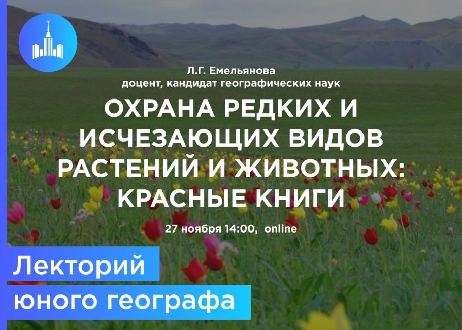 Подснежник Кандык кавказский