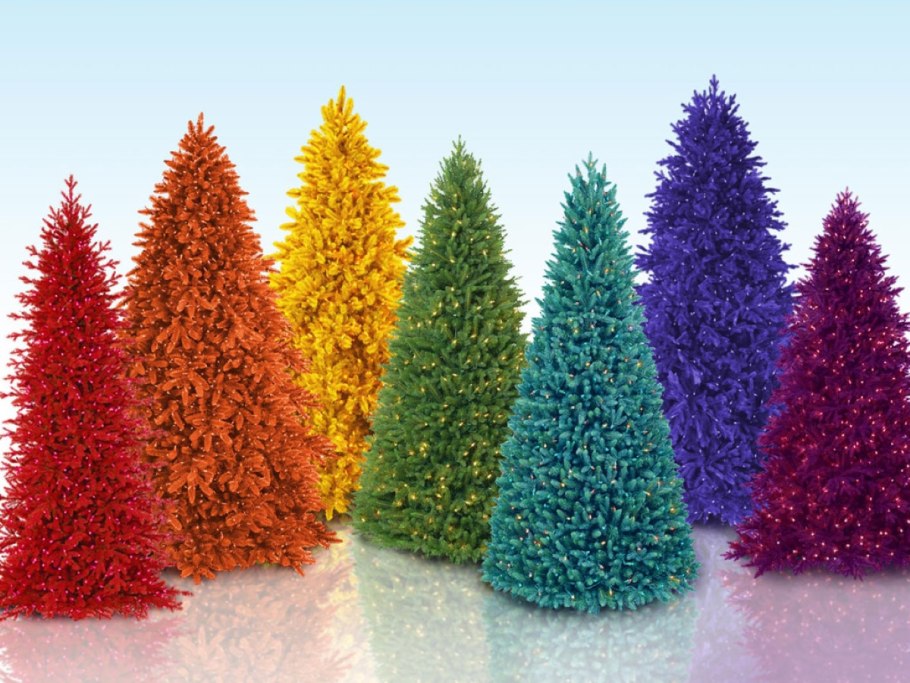 Ель обыкновенная Пендула