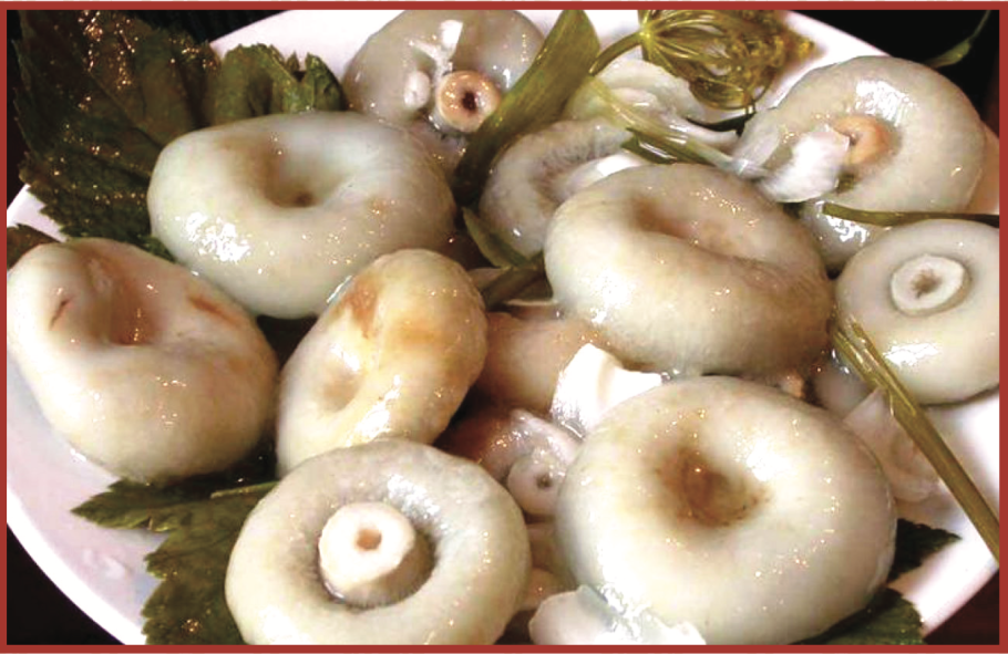 Грибы опята жареные