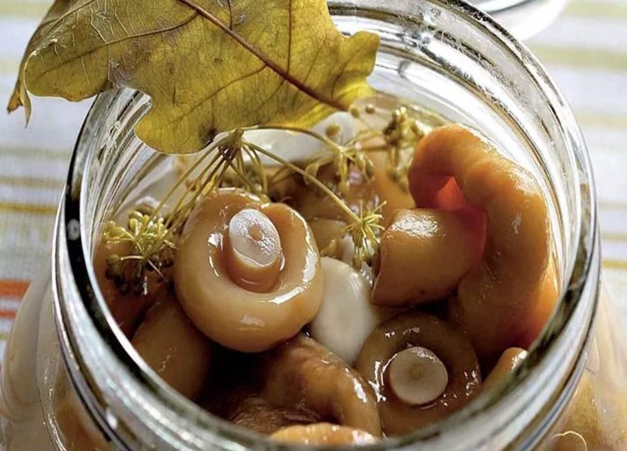 Гриб белый груздь в банках