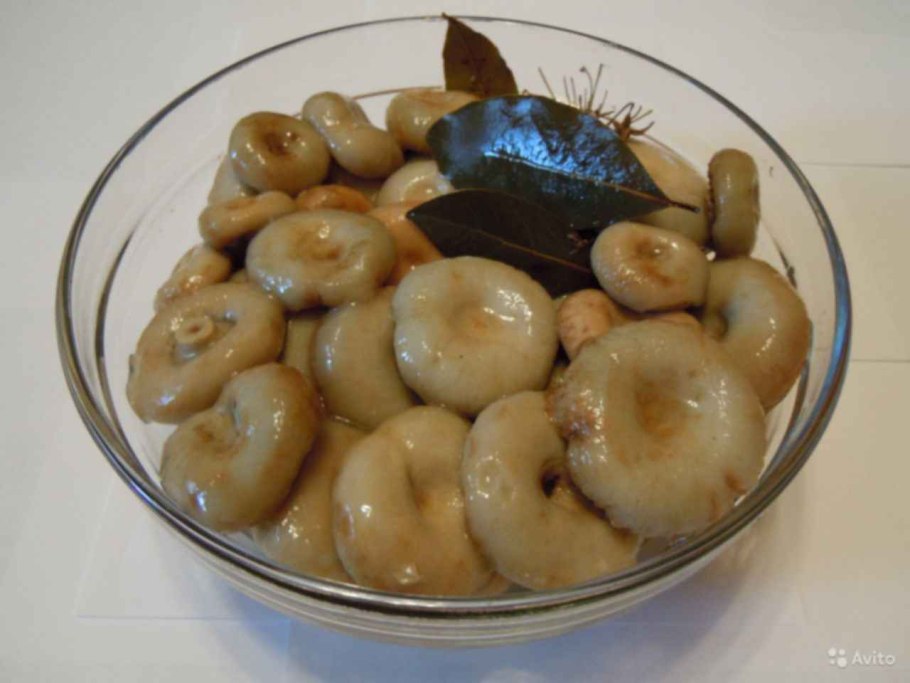 Грузди в банке