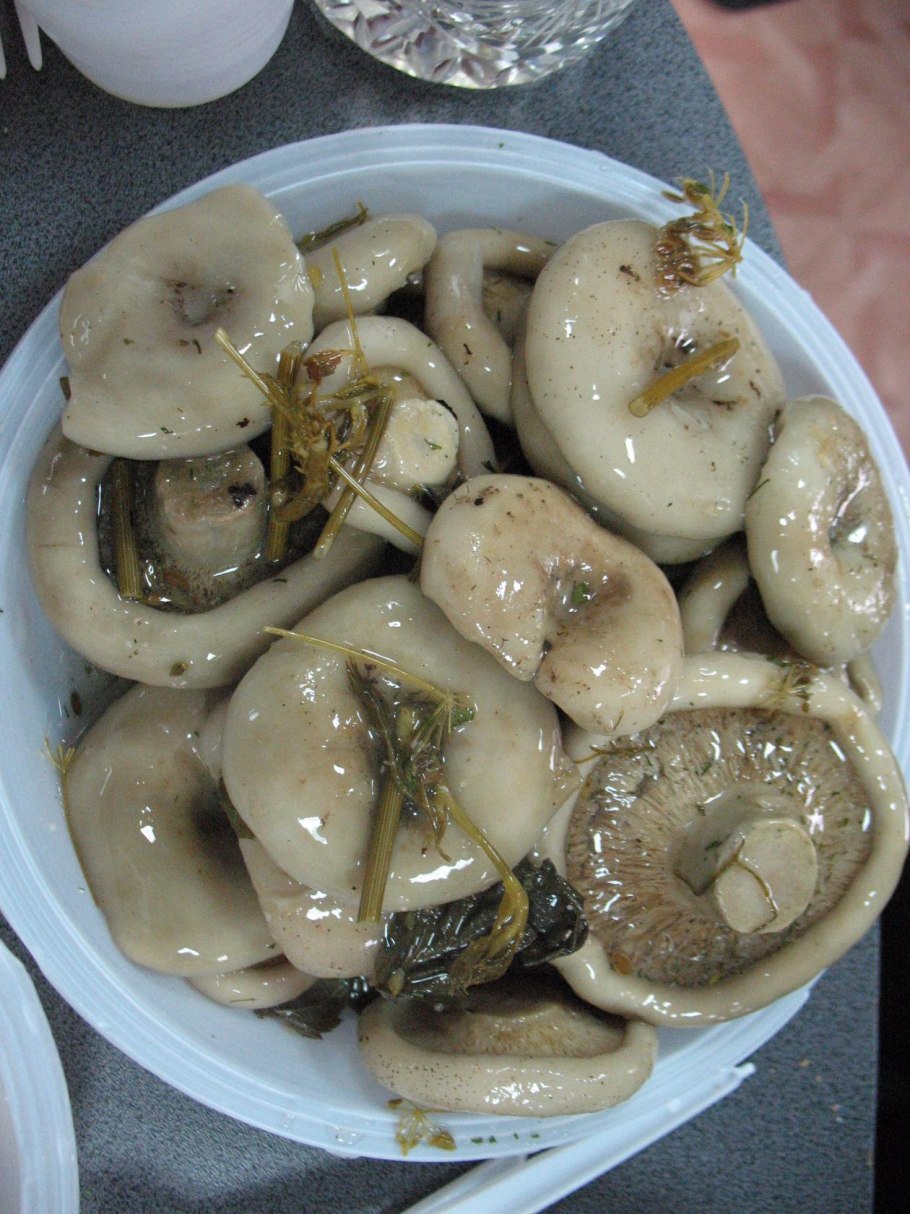 Грузди белые солёные