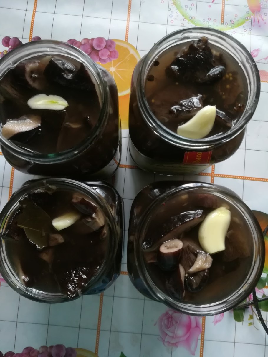 Соленые и маринованные грибы
