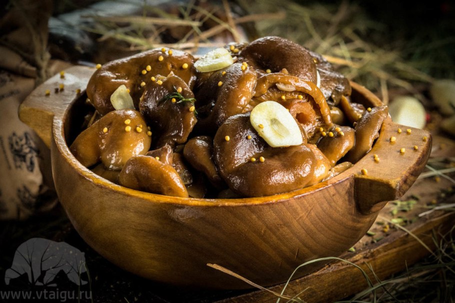 Грибы съедобные грузди засолка