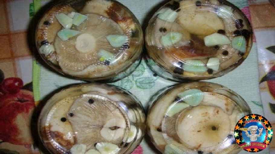 Соленье мышиные грибы