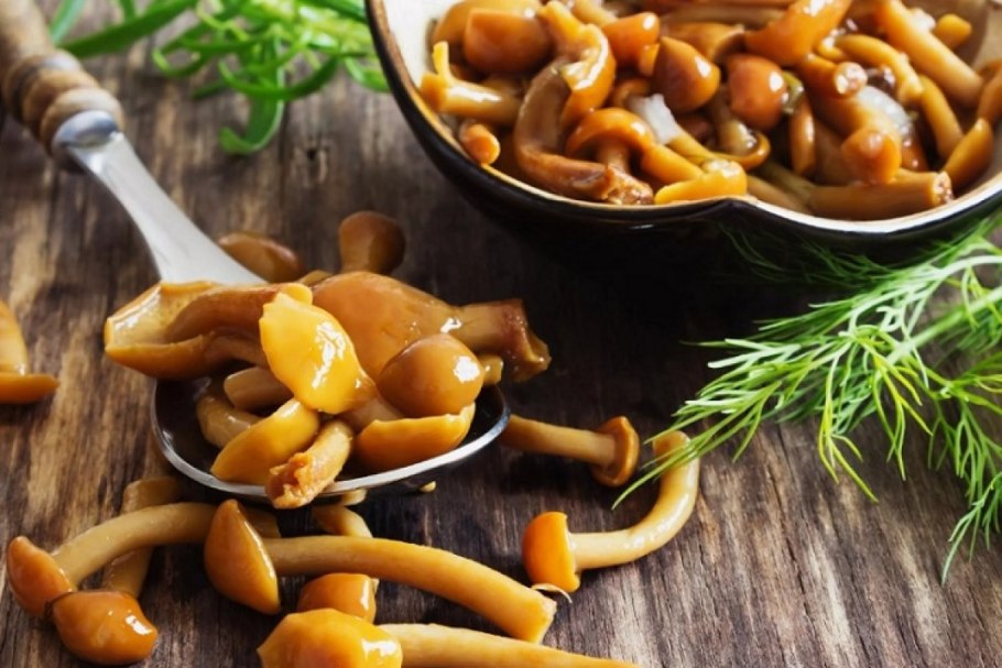 Рыжики грибы соленые