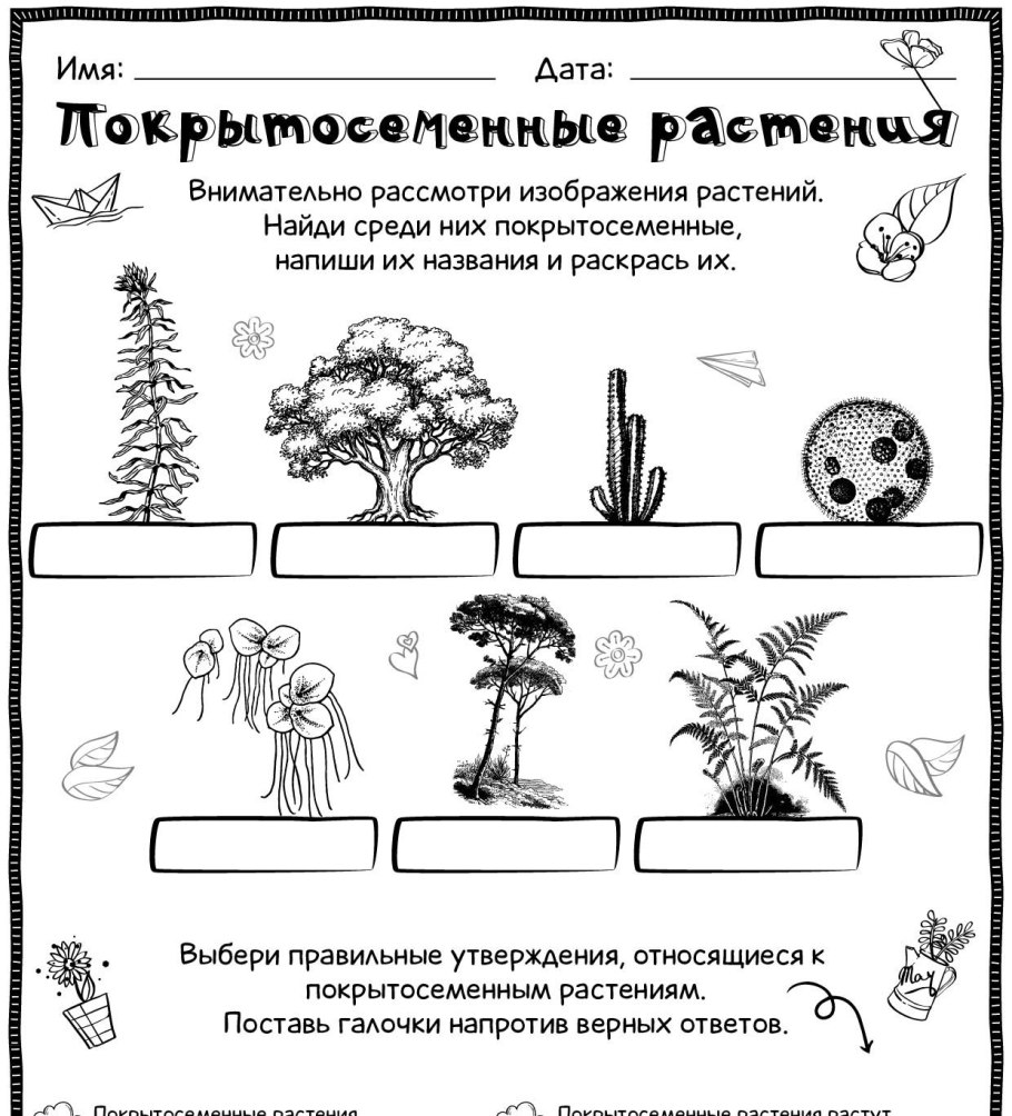 Фиды культурных растений