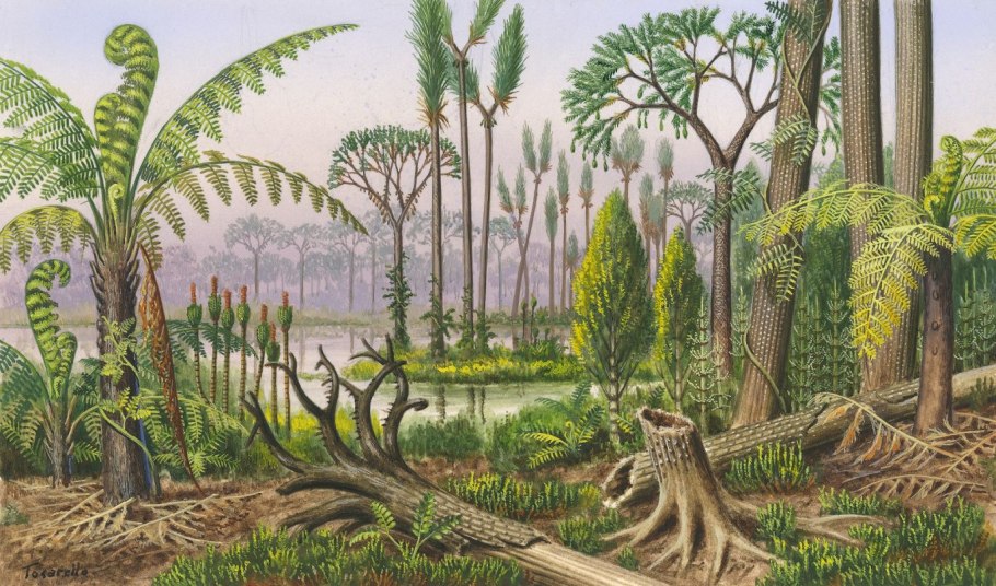 Жизненный цикл плауна схема