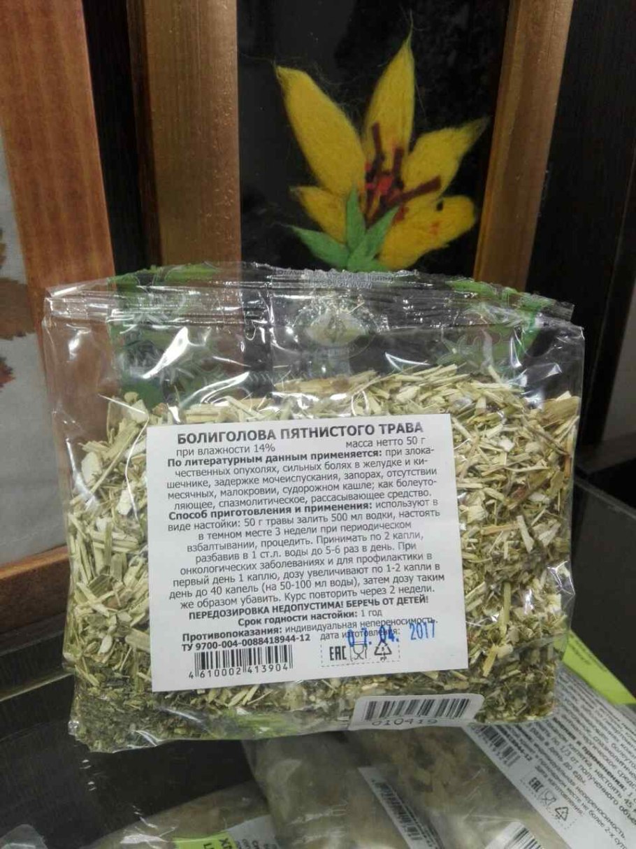Болиголов Алтайский от онкологии