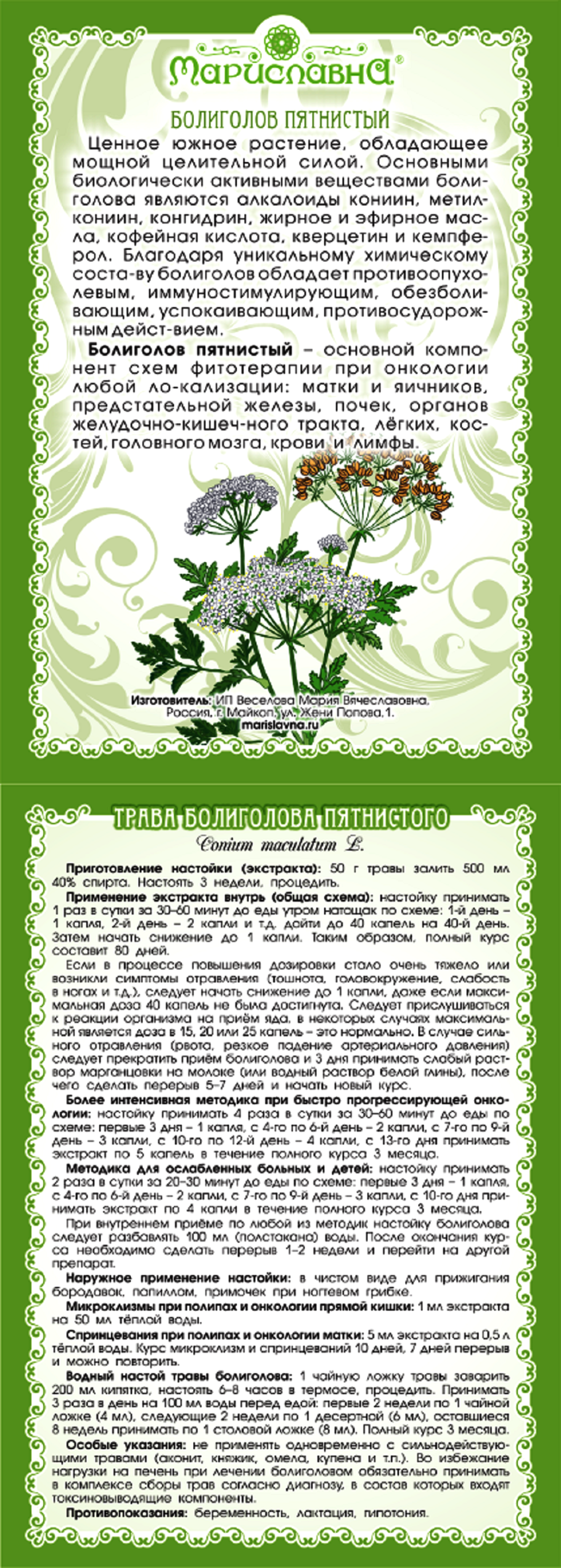 Anthriscus Sylvestris рисунок