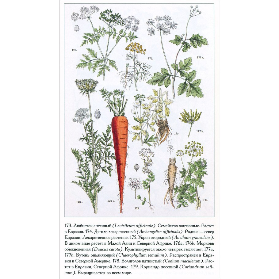 Ботанический атлас. Карл фон Гофман 978-5-7793-4323-7