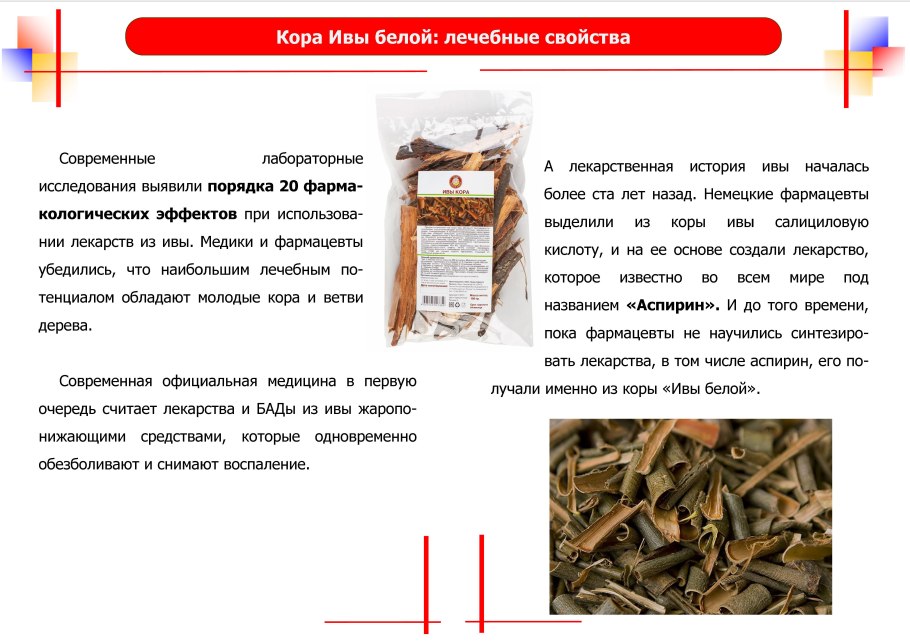 Растения живые существа для дошкольников