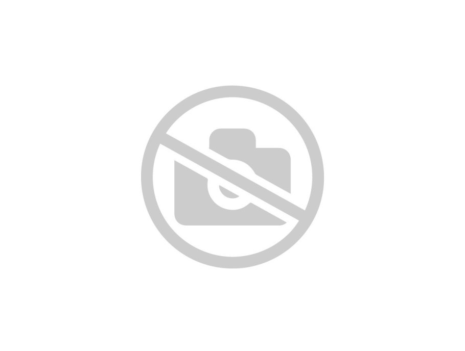 Папоротник кочедыжник женский 0,5м. ЗКС