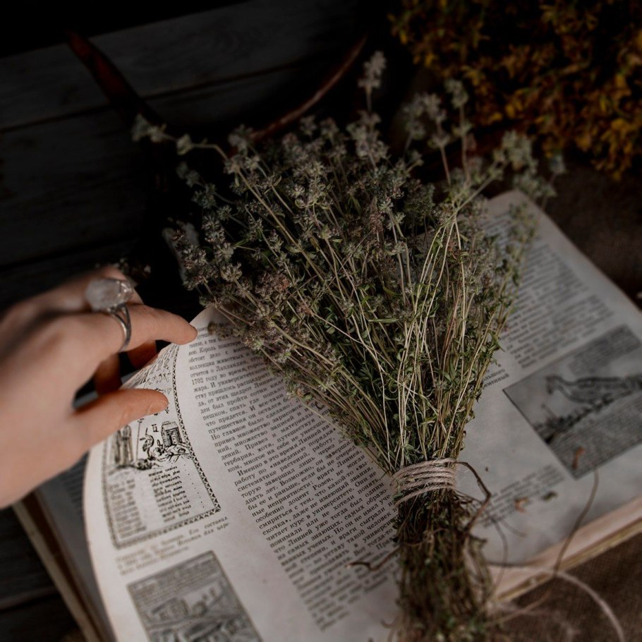 Witch aesthetic травы