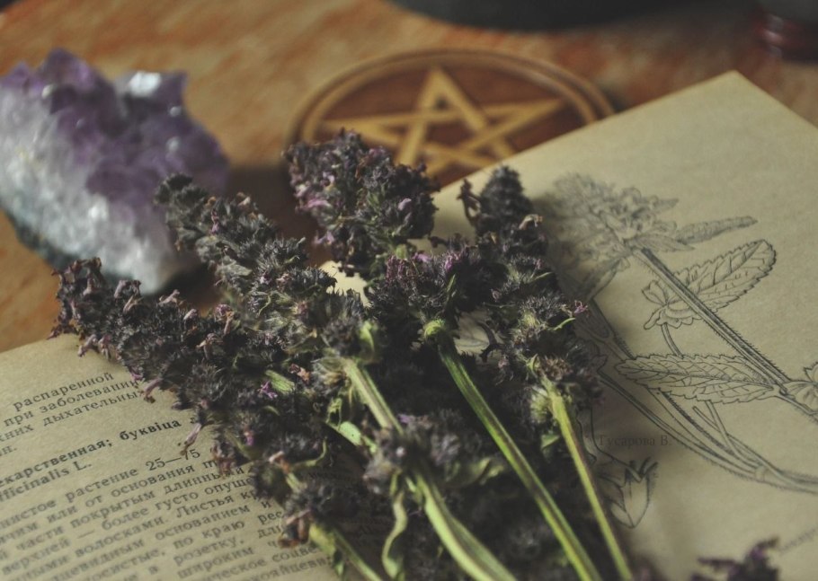 Ведьминский травник