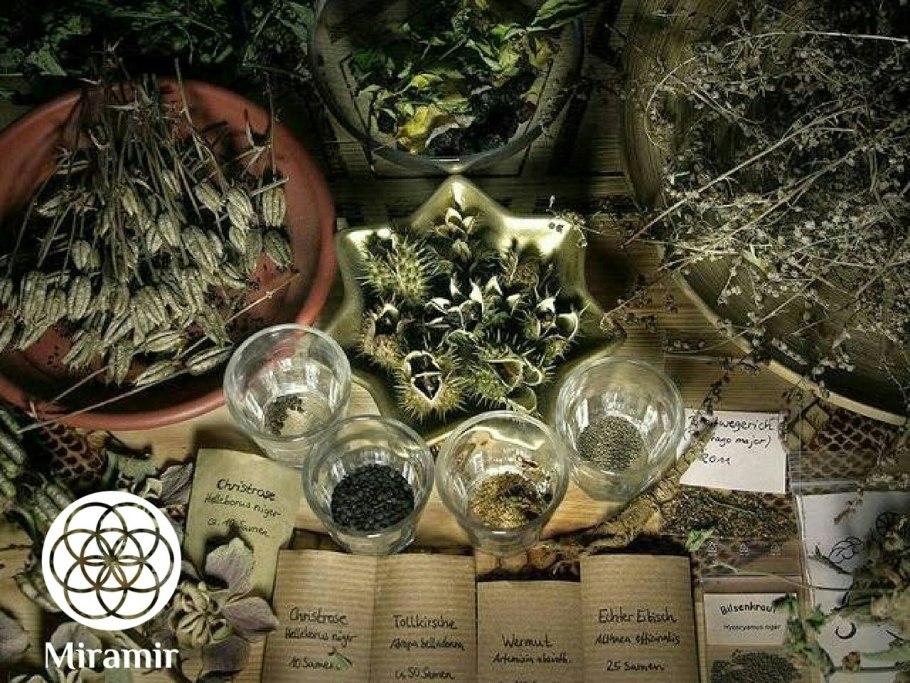 Магические травы