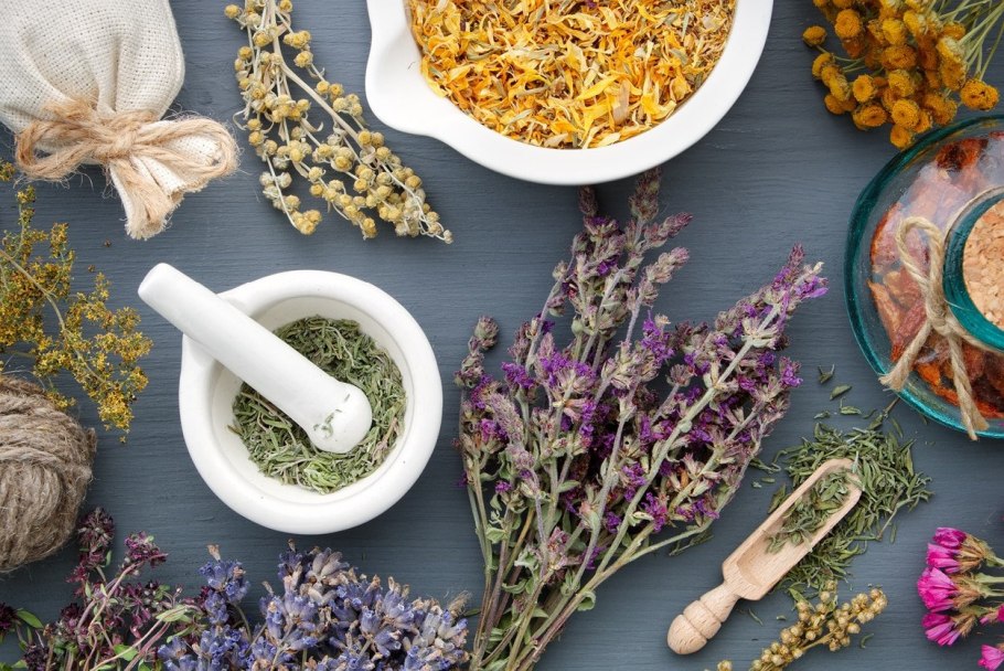 Лечебные травы вид сверху