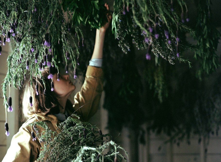 Ведьмины травы