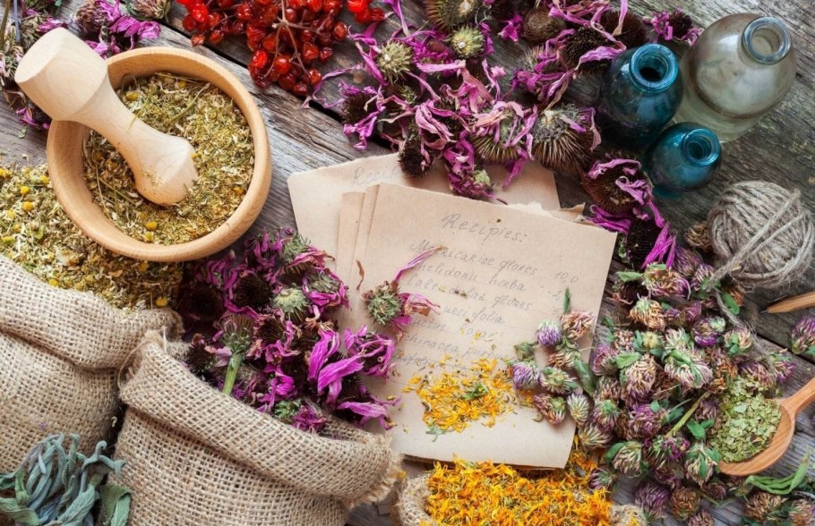 Сухая трава