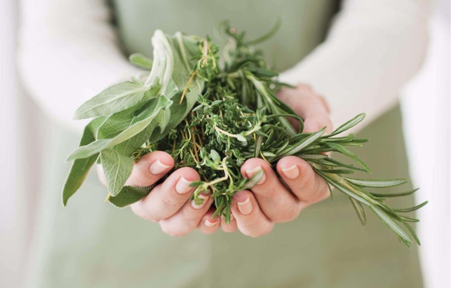 Целебные травы