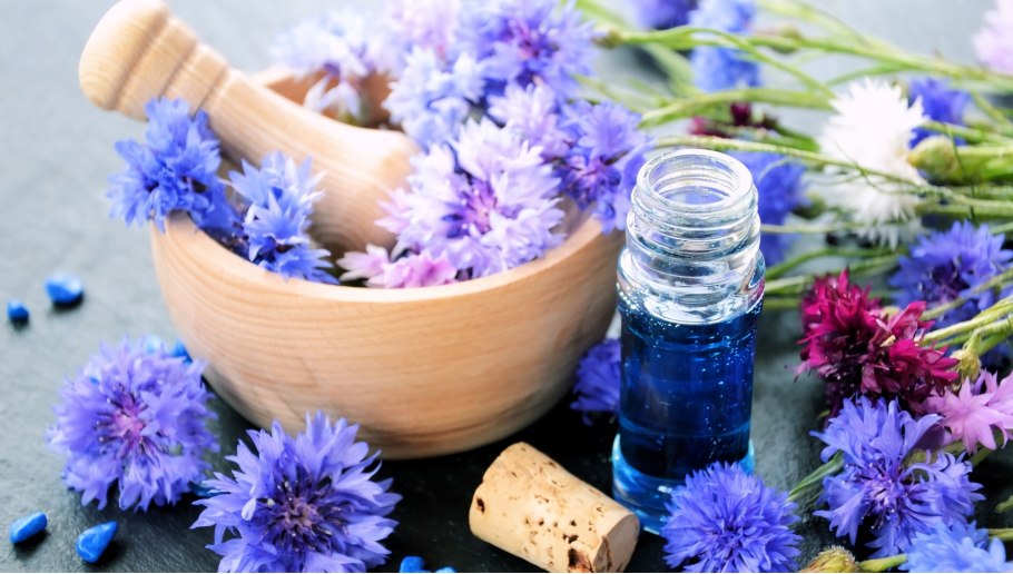 Оберег сбор трав