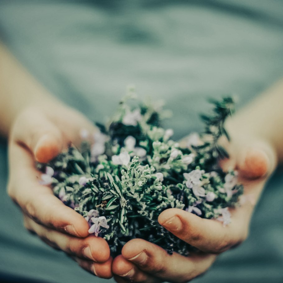 Руки на траве