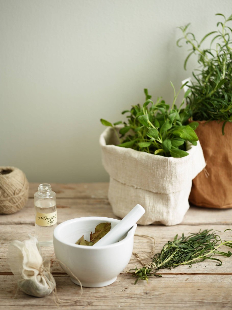 Пряные травы для чая