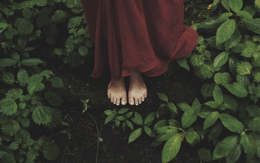 Фитотерапия в древности