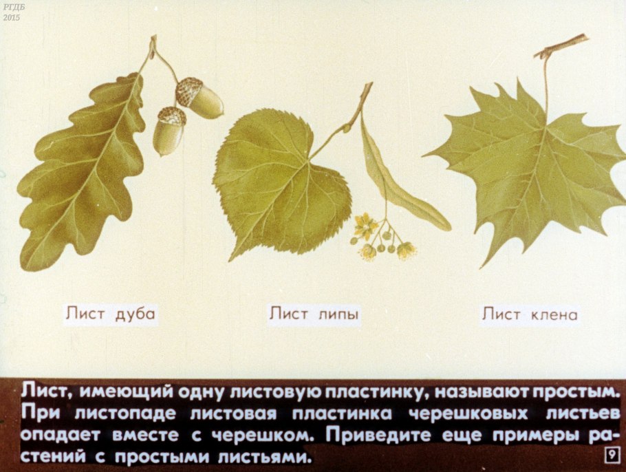 Опишите лист