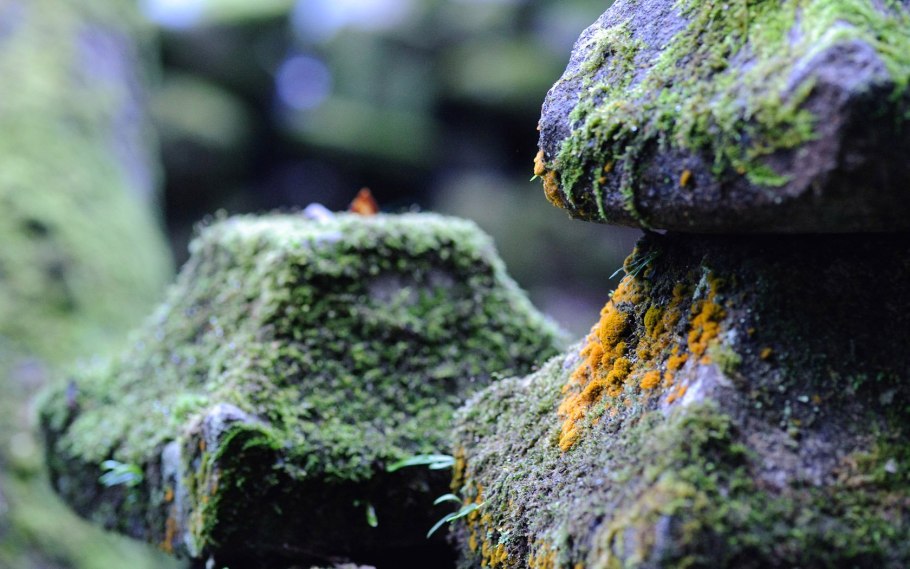 Ландшафт местности