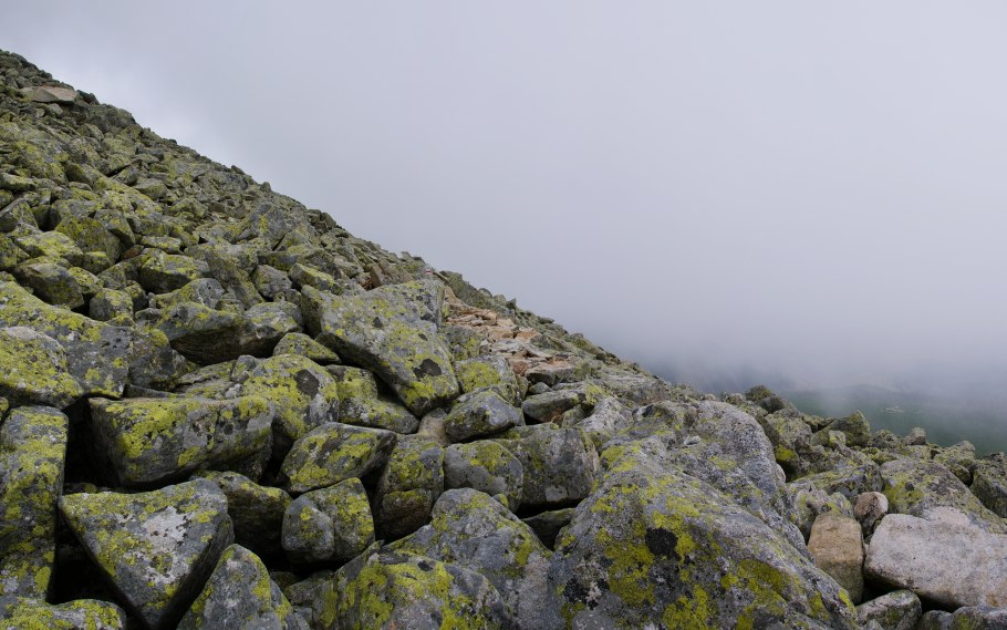 Заросшие мхов статуи японские