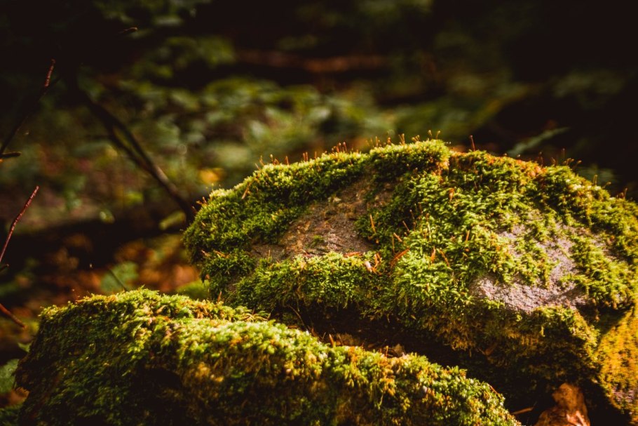 Скалы камни склон Аппенины