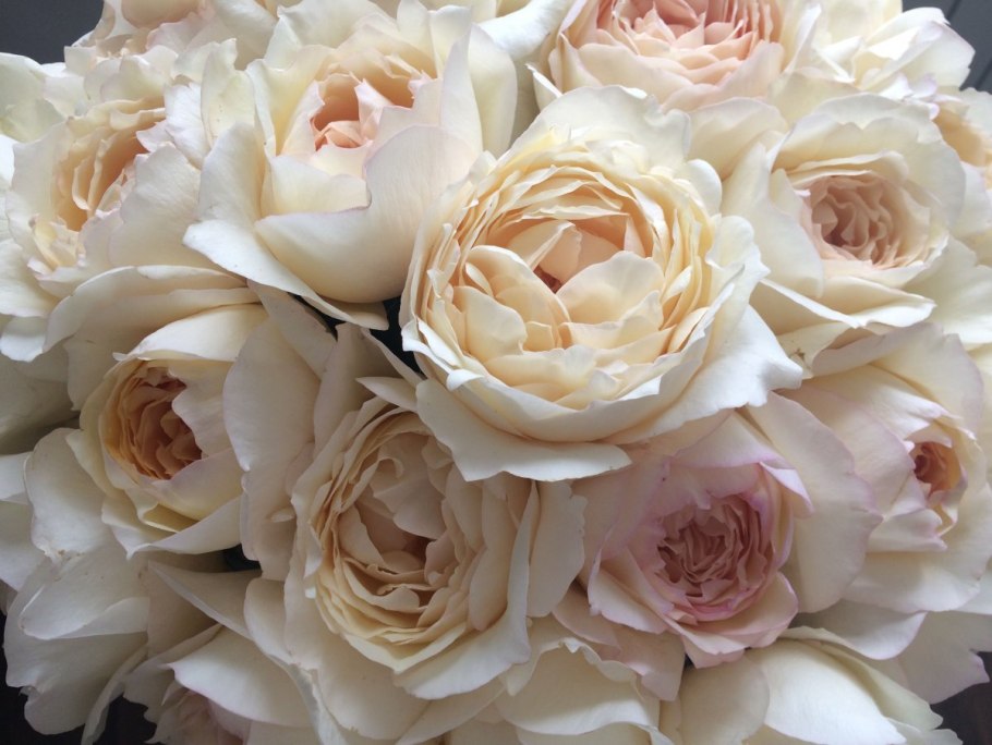 Ив Пьяже Yves Piaget роза