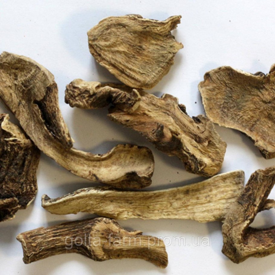 Чага, девясил драже Хорст