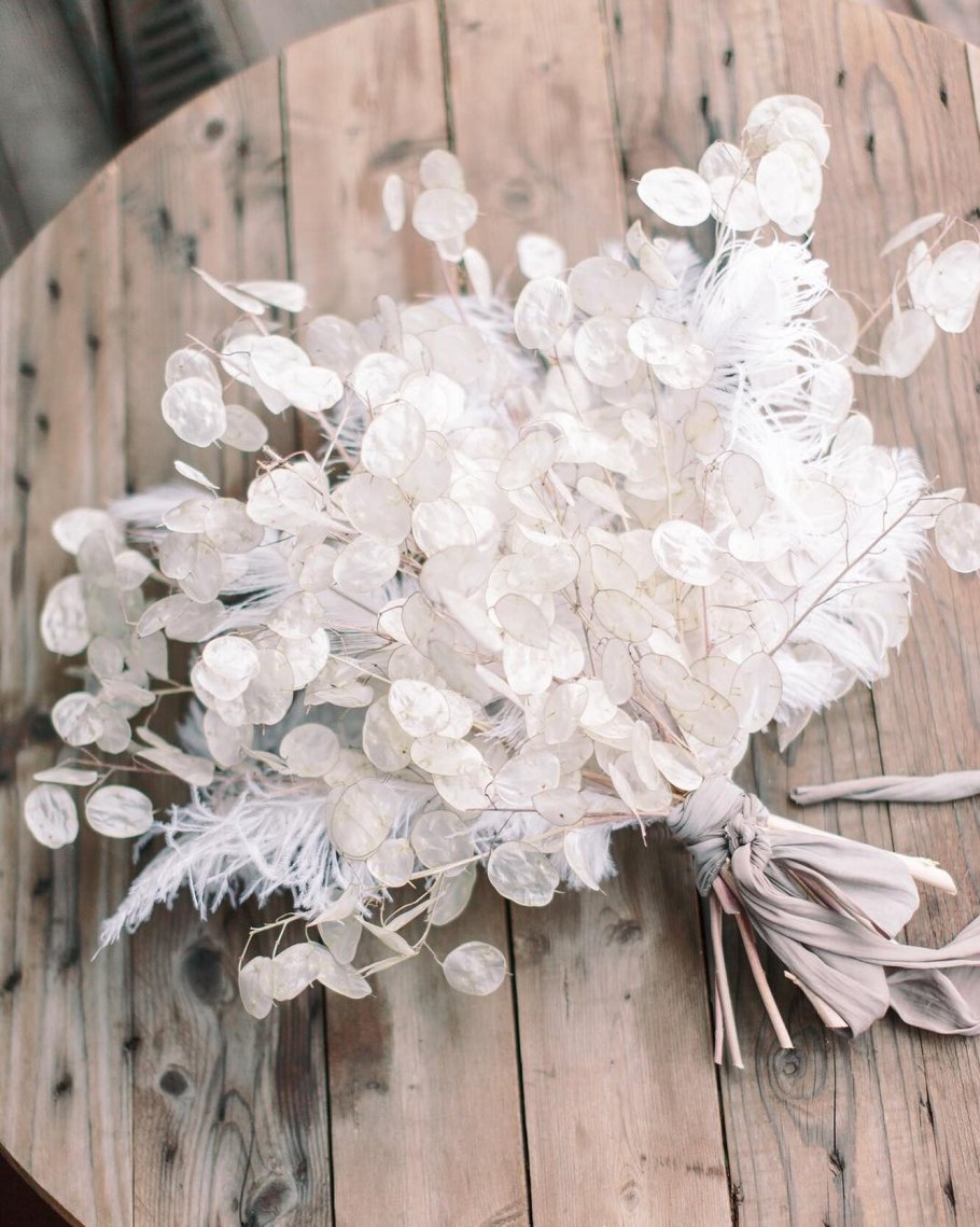 Лунник оживающий формула цветка