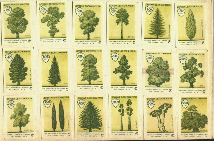 Царства растений подцарства и отделы