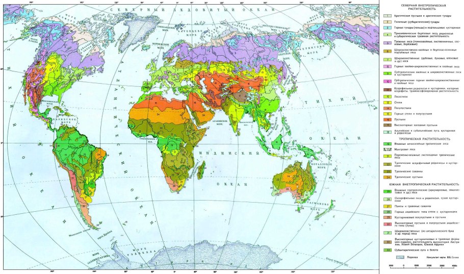 Карта растительных зон земли